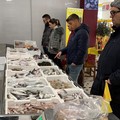 Coldiretti -Impresapesca Puglia: Capodanno a base di pesce, ma 8 su 10 sono stranieri