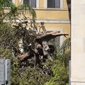 La denuncia di Sinistra Italiana Giovinazzo: «Tragedia sfiorata nella scuola "S.Giovanni Bosco "»
