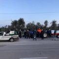 Sanificazione della città: gli agricoltori di Giovinazzo sono già pronti