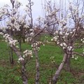 Coldiretti Puglia: «Quarto autunno più caldo dal 1800»