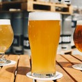 Covid, Francesca Galizia soddisfatta per le misure a sostegno della filiera della birra artigianale