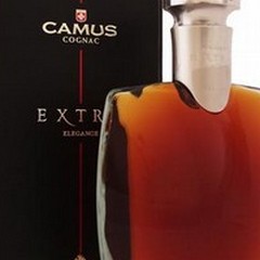Cognac Camus, un salto nel cuore della Francia
