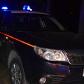 Sventato furto da 80mila euro, recuperati furgoni rubati a Giovinazzo