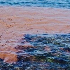 Chiazze di fango in mare lungo la costa