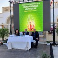 La cicoria puntarelle molfettese, eccellenza del territorio, pronta per il marchio IGP