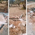 «Una discarica a cielo aperto»: la segnalazione di una cittadina