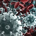Coronavirus, l'OMS dichiara la pandemia. L'Italia non è più sola