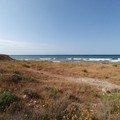 Il film  "Dentro il mare " girato a Giovinazzo. La nostra intervista al regista