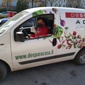Despar, la spesa on line arriva a Giovinazzo in tempi record