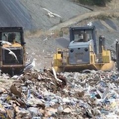 «Lo smaltimento dei rifiuti è nelle mani dei privati»