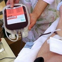 Fidapa e Fratres unite per la donazione del sangue
