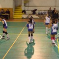 Volley Ball travolgente, 0-3 a Barletta