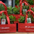 Domenica di solidarietà a Giovinazzo con le “Erbe Aromatiche” di AISM