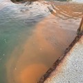 Mare rosso a Giovinazzo, un'alga fa cambiare il colore dell'Adriatico