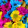 Ognissanti, caro fiori con prezzi raddoppiati anche a Giovinazzo