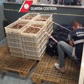 Giro di vite sull'igiene: 455 chili di cozze e ostriche sotto sequestro