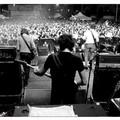  "GRF Contest ", il concorso per artisti e band emergenti