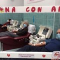L'intenso mese di giugno del gruppo Fratres di Giovinazzo