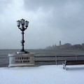Neve, per l'FC Bari la foto più bella è di un giovinazzese