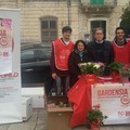 Vendute tante gardenie AISM per la ricerca
