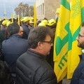 Marcello Gemmato al fianco dei giovani di Coldiretti