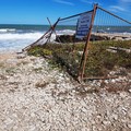 Rifiuti in spiaggia, ripulito il litorale sud a tempo di record