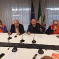 Xylella e gelate nelle campagne: le posizioni di Damascelli e Amati