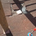 Danneggiata la pavimentazione in Villa Comunale nei pressi dei giochi per bimbi