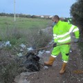 Ripulita Lama Castello a Giovinazzo (FOTO)