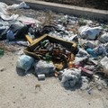 Abbandono rifiuti: «Fenomeno in aumento sulla Giovinazzo-Bitonto»