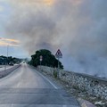 Incendio di sterpaglie: pomeriggio di lavoro per i Vigili del Fuoco