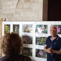  "I fiori di montagna ", inaugurata la mostra nelle Sale del Bastione