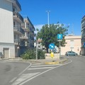 Maltempo, a Giovinazzo si spezza grosso ramo di carrubo