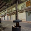Albero vandalizzato su via Marconi e lasciato in un cestino portarifiuti