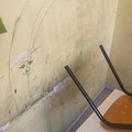 Scuole e palazzetto vandalizzati, interventi del Comune di Giovinazzo