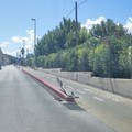 Ciclovia Giovinazzo-Molfetta: altri due pali della segnaletica verticale abbattuti