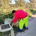 Nuova pulizia dell'agro a Giovinazzo, Rucci: «C'è ancora tanto da fare»