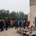 Info Point Giovinazzo, un dicembre denso di iniziative