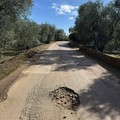 La richiesta d'aiuto degli agricoltori: «Troppe buche sulle strade rurali di Giovinazzo»