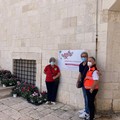 Lotta alla sclerodermia, Giovinazzo ha celebrato la Giornata del Ciclamino