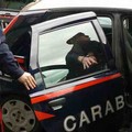 Sorpresi vicino a un'auto rubata a Giovinazzo, arrestati