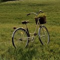  "Domenica in bici " a Giovinazzo rinviata a settembre