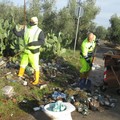 Rifiuti, ripulita dal Comune di Giovinazzo strada delle Carrare (FOTO)