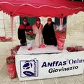 Anffas Giovinazzo in piazza all'Immacolata