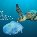 Un Consiglio comunale "plastic free ": LED scrive alle istituzioni cittadine