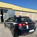 Viola la libertà vigilata a Voghera: arrestato sulla Giovinazzo-Bitonto