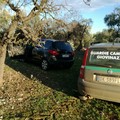 Ancora auto rubate recuperate nelle campagne di Giovinazzo