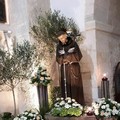 Festeggiamenti in onore di San Francesco d'Assisi, il programma fino a domenica