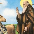 Mercoledì la festa liturgica di Sant'Antonio Abate