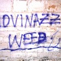  "Giovinazzo weed ": su Instagram le premesse alle scritte sui muri nel borgo antico?